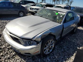  Salvage Ford Mustang