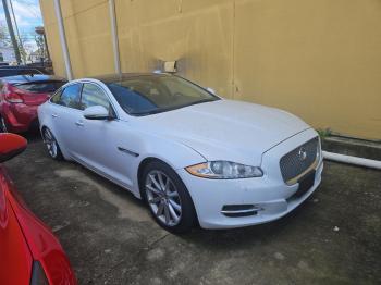  Salvage Jaguar XJ