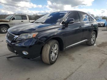  Salvage Lexus RX