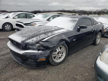  Salvage Ford Mustang