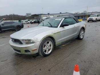  Salvage Ford Mustang