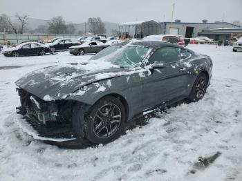  Salvage Ford Mustang