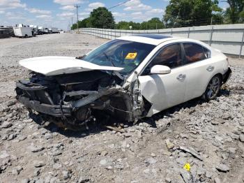  Salvage Nissan Maxima
