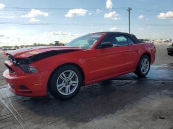  Salvage Ford Mustang