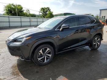  Salvage Lexus NX