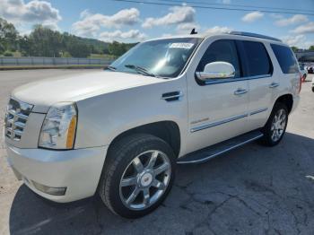  Salvage Cadillac Escalade