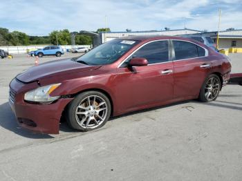  Salvage Nissan Maxima