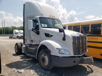 Salvage Peterbilt Tractor 579
