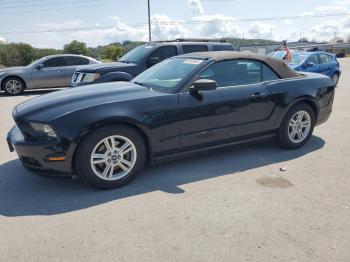  Salvage Ford Mustang