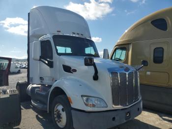  Salvage Peterbilt Tractor 579