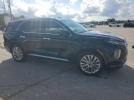 Hyundai PALISADE Limited Image 3