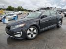 Kia Optima Hybrid Image 1