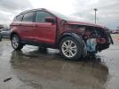 Ford Escape Sel Image 6