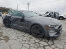 Ford Mustang Image 2