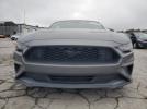 Ford Mustang Image 3