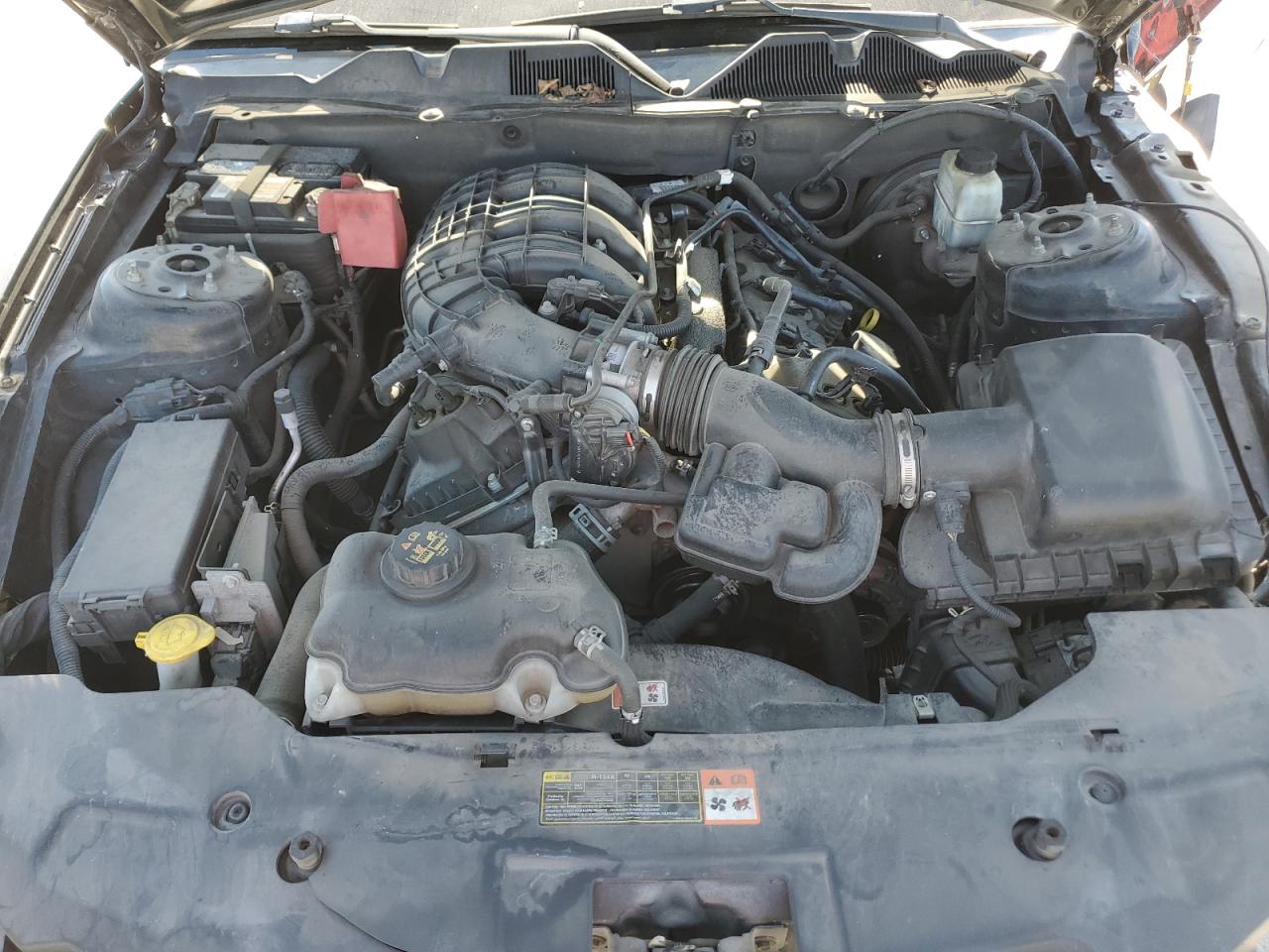 Ford Mustang Image 11