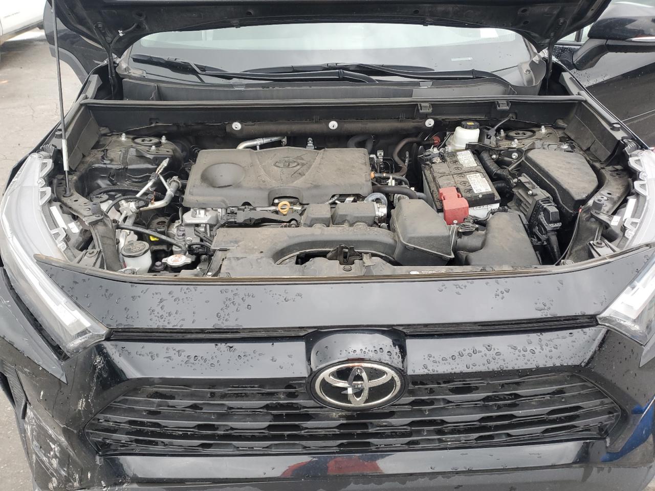 Toyota RAV4 Xle Image 8
