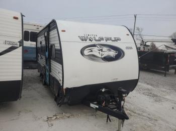  Salvage Forest River Wolf Pup S