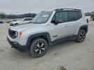 Jeep Renegade Trailhawk Image 1