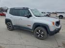 Jeep Renegade Trailhawk Image 5