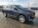 Cadillac Escalade Premium Luxury Image 4