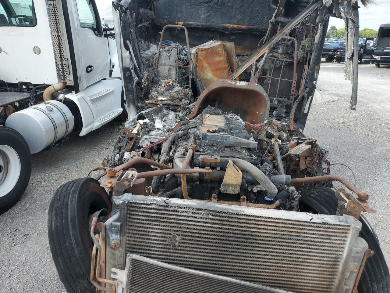 Freightliner Cascadia 1 Image 6