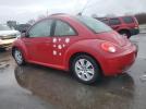 Volkswagen Beetle Image 6