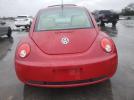 Volkswagen Beetle Image 3