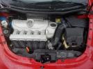 Volkswagen Beetle Image 12