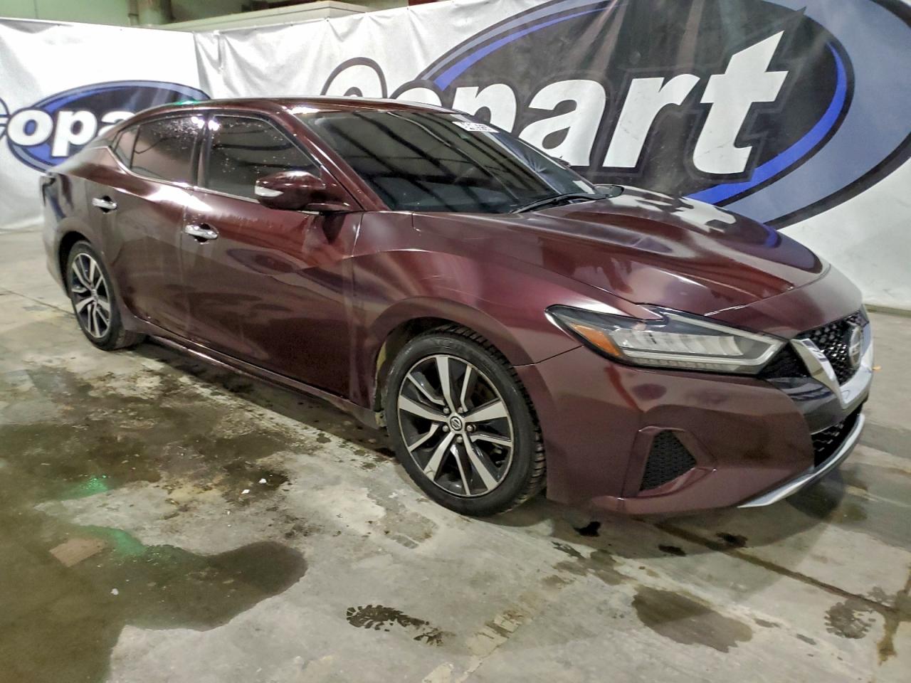 Nissan Maxima Sv Image 4