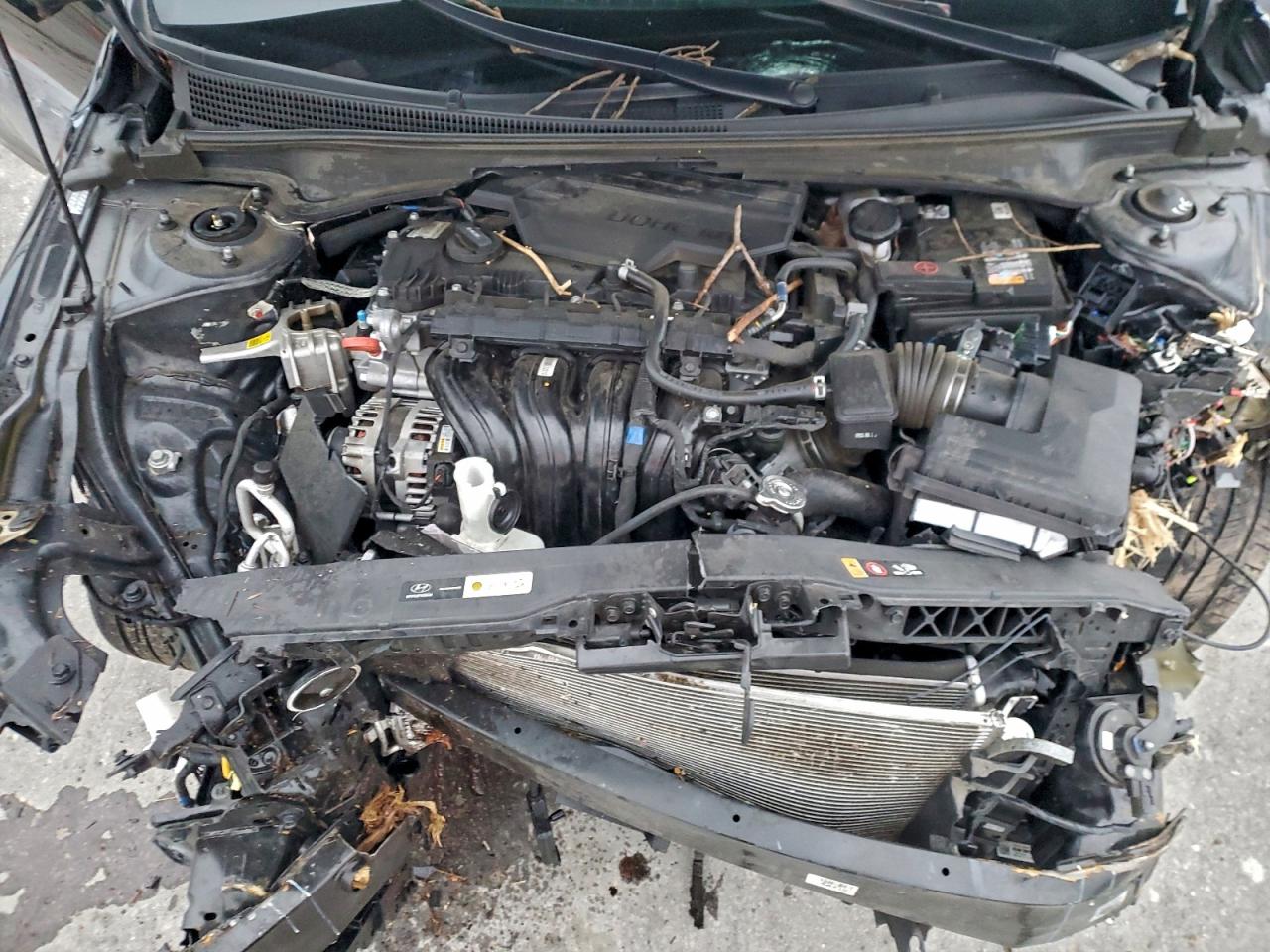 Hyundai ELANTRA Limited Image 6