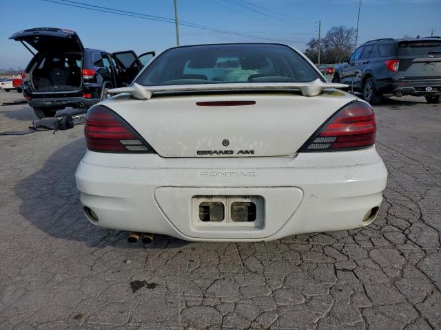 Pontiac Grandam Se1 Image 6