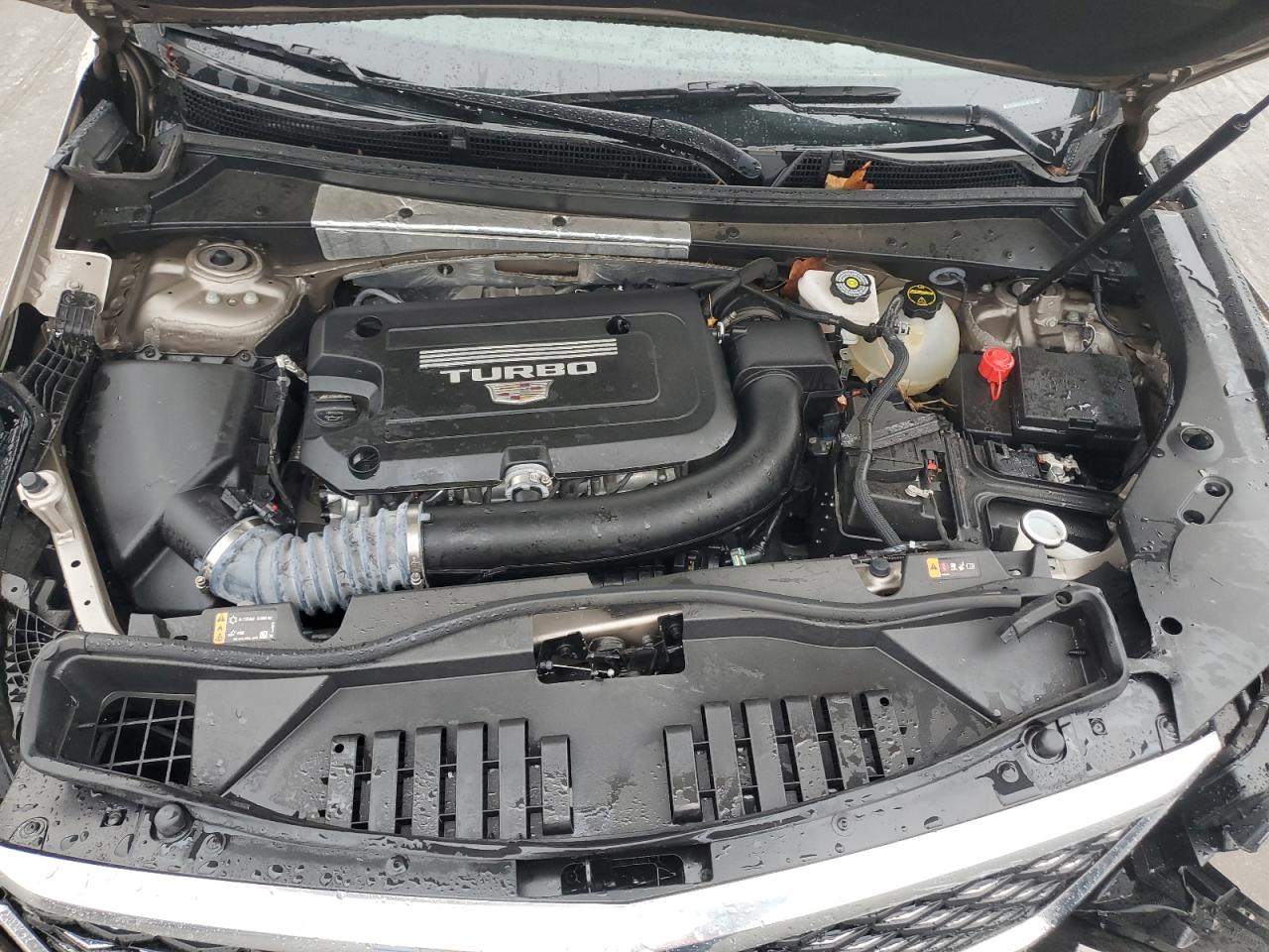 Cadillac XT4 Premium Luxury Image 5