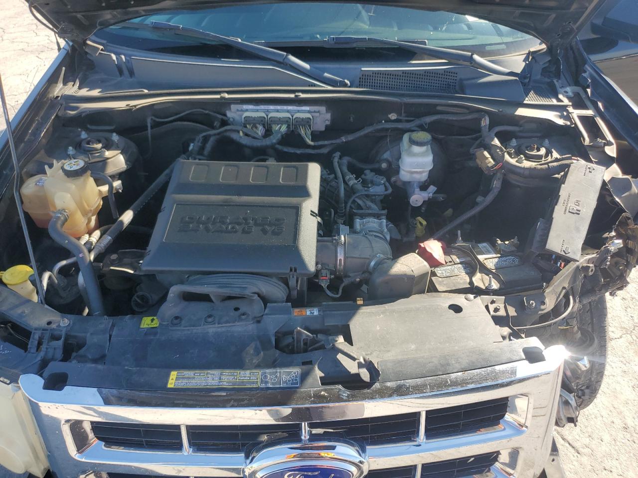 Ford Escape Xlt Image 11