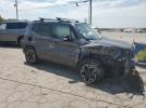 Jeep Renegade Trailhawk Image 2
