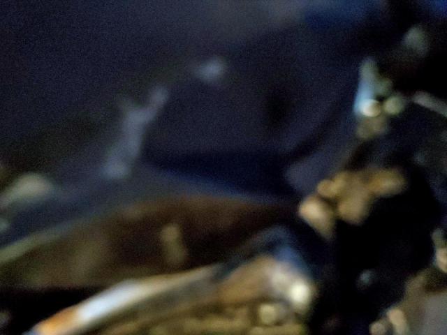 Ford Escape Limited Image 8