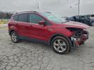 Ford Escape Se Image 9