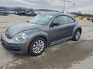 Volkswagen Beetle Image 1