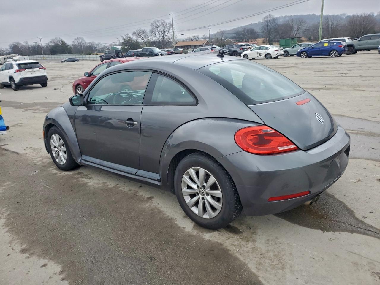 Volkswagen Beetle Image 5