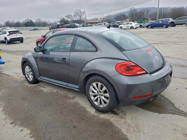 Volkswagen Beetle Image 5