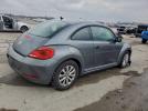 Volkswagen Beetle Image 2
