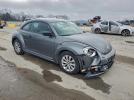 Volkswagen Beetle Image 3