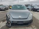 Volkswagen Beetle Image 6