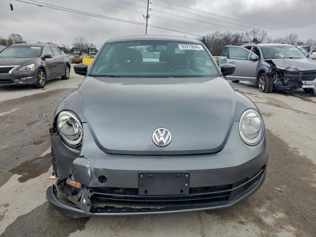 Volkswagen Beetle Image 6