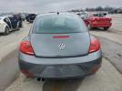 Volkswagen Beetle Image 10