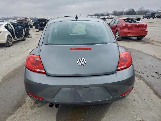 Volkswagen Beetle Image 10