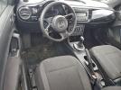 Volkswagen Beetle Image 12