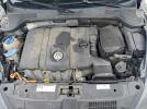 Volkswagen Beetle Image 11
