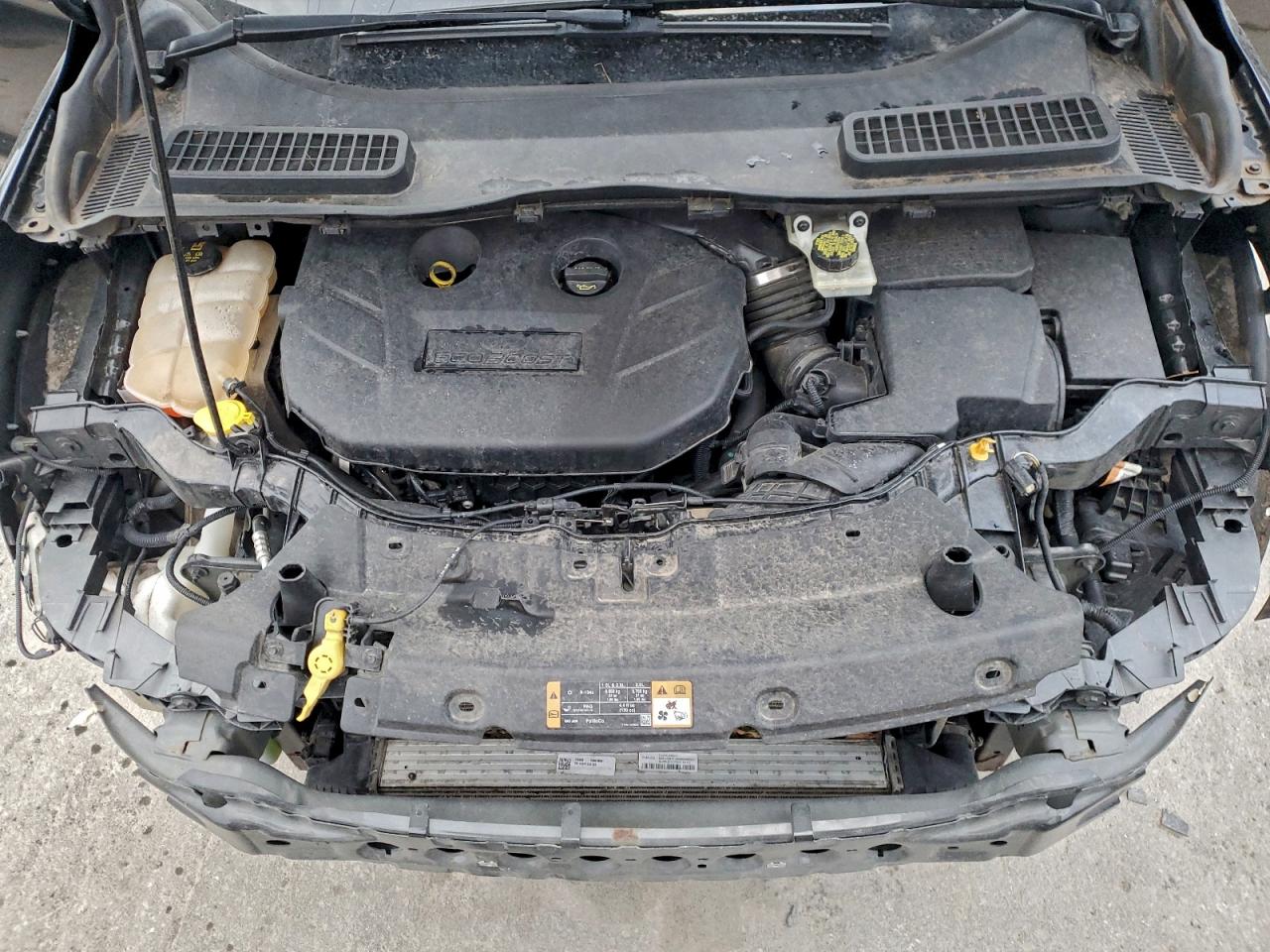 Ford Escape Se Image 9