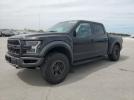 Ford F-150 Raptor Image 1